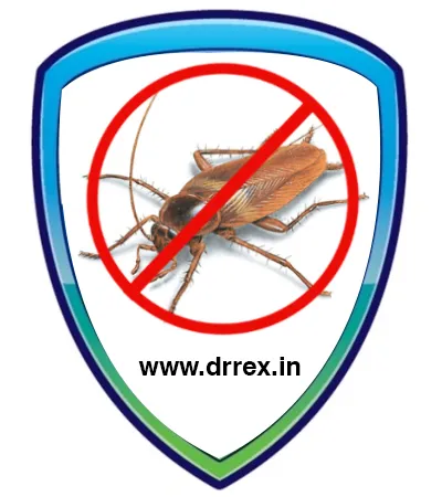 Cockroach Service in Ahmedabad