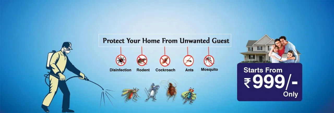mosquito control in ahmedabad | mosquito fogging - dr rex