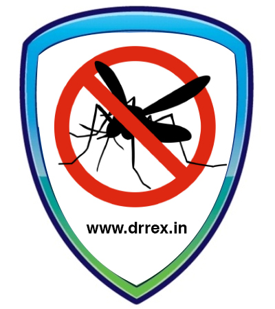 Mosquito Service in Ahmedabad